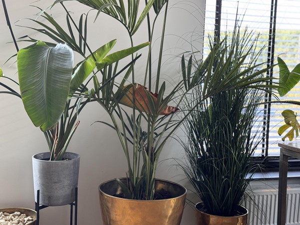 Medium property photo - Rodenburgstraat 69, 6811 HN Arnhem