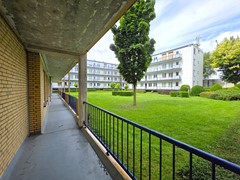 20260610_110216.jpg
