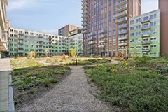 Huur: Ananasweg 176, 2321 DC Leiden