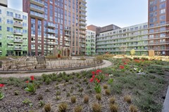 Huur: Ananasweg 176, 2321 DC Leiden