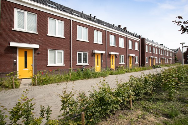 homes for rent on Hondsdraf 26