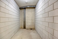 270.jpg