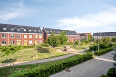 Hondsdraf202412AZBodegravenNL-38.jpg