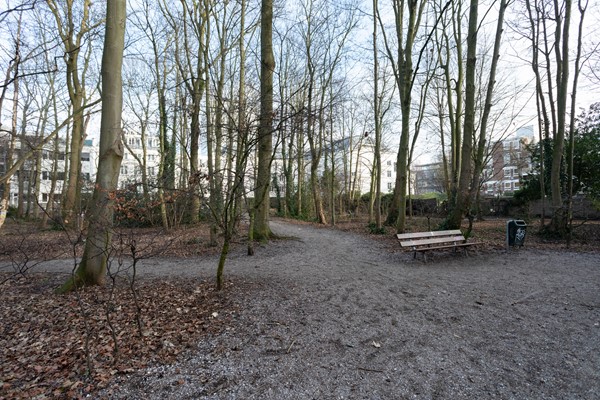 Medium property photo - Frederikstraat 439, 2514 LH Den Haag