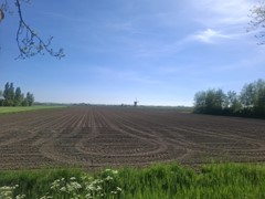 Koop:Steekterweg, 2407 BK Alphen aan den Rijn - Foto