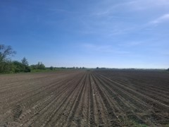 Koop:Steekterweg, 2407 BK Alphen aan den Rijn - Foto