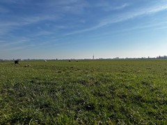 Koop:Batelaan, 2396 ET Koudekerk aan den Rijn - Foto