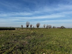 Koop:Batelaan, 2396 ET Koudekerk aan den Rijn - Foto