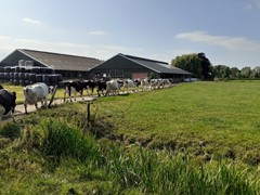 PHOTO breeveld 14.jpg