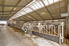 Nieuw in verkoop:Papekopperdijk 23, 3464 HT Papekop - Foto