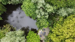 DJI_0064.jpeg
