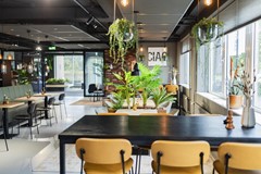 Huur: Baron van Nagellstraat 136, 3771 LL Barneveld