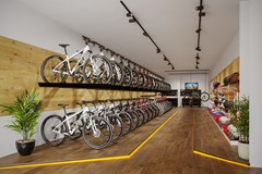 Te koop/huur: Marijkelaan 17, 3781VG Voorthuizen