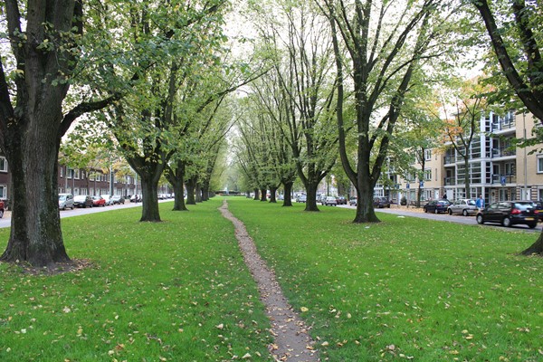 Medium property photo - Prins Bernhardlaan 58E, 3555 AG Utrecht