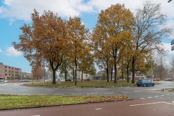 Medium property photo - Pieter Nieuwlandstraat 113, 3514 HG Utrecht