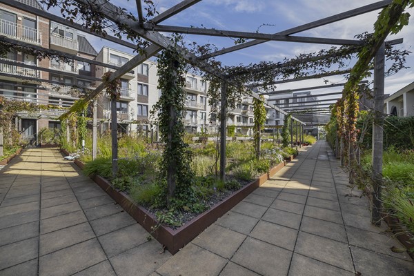 Medium property photo - Zijdebalenstraat 15, 3513 DH Utrecht