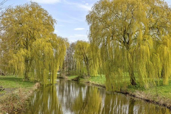 Medium property photo - Prinses Ireneplateau 3, 3554 HW Utrecht