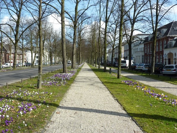 Medium property photo - Maliestraat 1A, 3581 SH Utrecht