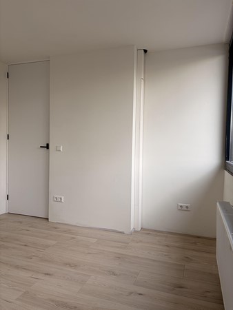 Medium property photo - Amsterdamsestraatweg 973A, 3555 HR Utrecht