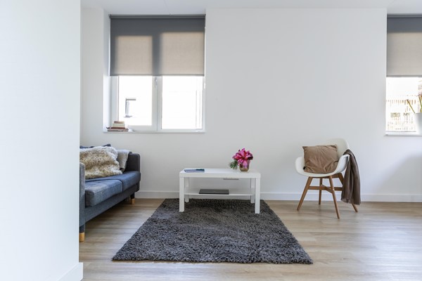 Medium property photo - Faas Wilkesstraat 223, 1095 MD Amsterdam