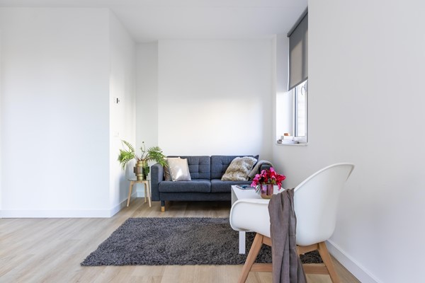 Medium property photo - Faas Wilkesstraat 223, 1095 MD Amsterdam