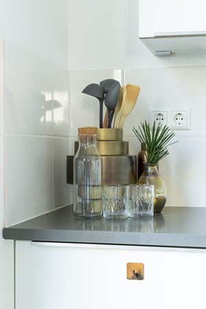 Medium property photo - Faas Wilkesstraat 223, 1095 MD Amsterdam