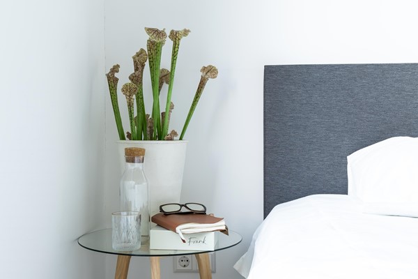 Medium property photo - Faas Wilkesstraat 223, 1095 MD Amsterdam