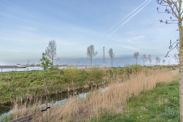 Medium property photo - Faas Wilkesstraat 223, 1095 MD Amsterdam