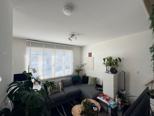 Medium property photo - Pieter Nieuwlandstraat 115D, 3514 HG Utrecht
