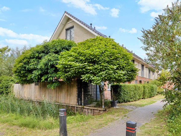 Emile_Hullebroeckstraat_41D-02.jpg