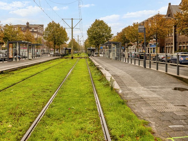 Lunterenstraat_102-34.jpg