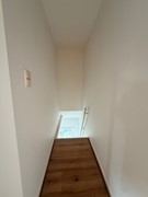 IMG_1740.jpeg