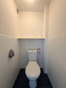 IMG_1741.jpeg