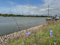 Verkocht: Europa-Kade 56, 6916 BG Tolkamer