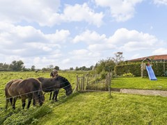 Koop: Dorpsdijk 10, 6915 AD Lobith