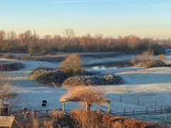 02d05c63-fb43-46d2-a4e2-ea4ea599e1f0.JPG