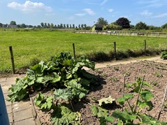 Moestuin.jpeg