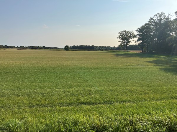 Daalhorst, 5421XN Gemert