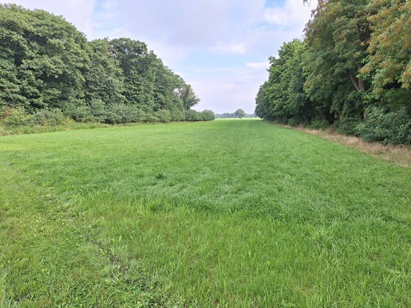 Prinsenweg, 5453SC Langenboom