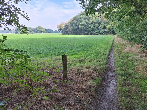 Medium property photo - Prinsenweg, 5453 SC Langenboom