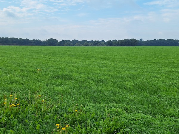 Medium property photo - Prinsenweg, 5453 SC Langenboom