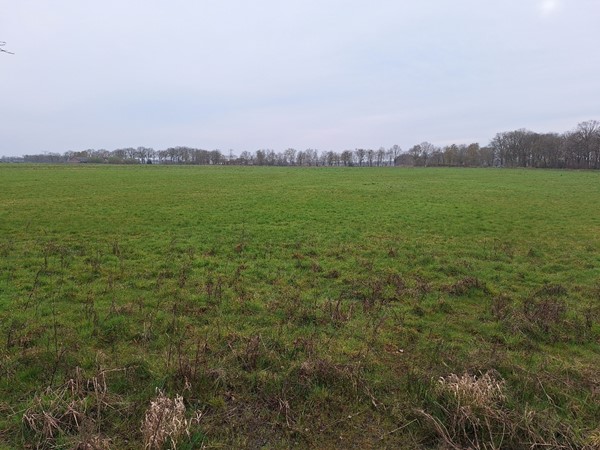 Medium property photo - Kokmeeuwenweg, 5725TW Heusden Gem Asten