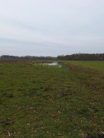 Medium property photo - Kokmeeuwenweg, 5725TW Heusden Gem Asten