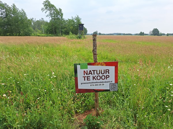 Te koop: Kokmeeuwenweg, 5725 Heusden Gem Asten