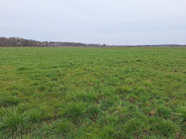 Medium property photo - Kokmeeuwenweg, 5725TW Heusden Gem Asten