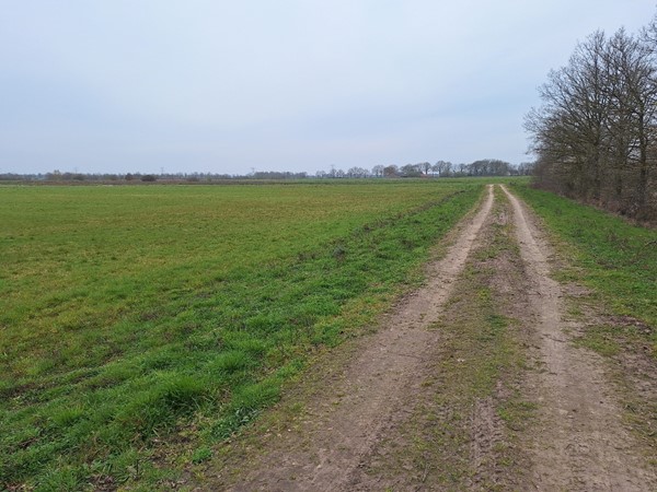 Medium property photo - Kokmeeuwenweg, 5725TW Heusden Gem Asten