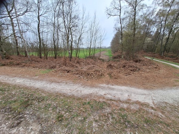 Medium property photo - Kokmeeuwenweg, 5725TW Heusden Gem Asten