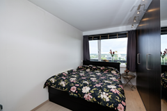 Flat Roger Rustiger (9).png