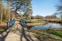 Vreeswijkstraat 417_35.jpg