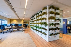 For rent: Piet Mondriaanplein, 3812 GZ Amersfoort